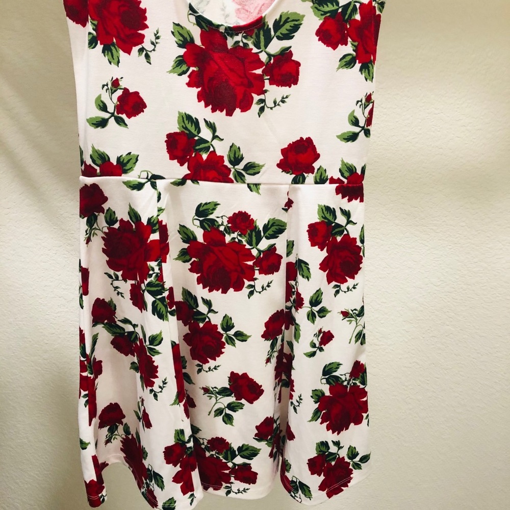 Rose print skater dress